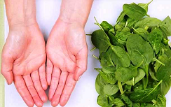 رژیم لاغری کف دست 2