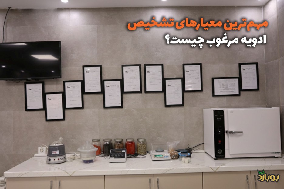 مهم‌ترین معیارهای تشخیص ادویه مرغوب چیست؟