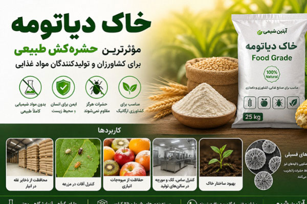 خاک دیاتومه